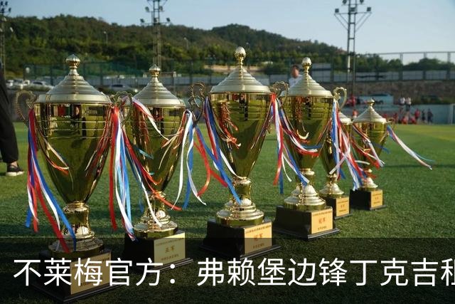 不莱梅官方：弗赖堡边锋丁克吉租借回归，租期1个赛季